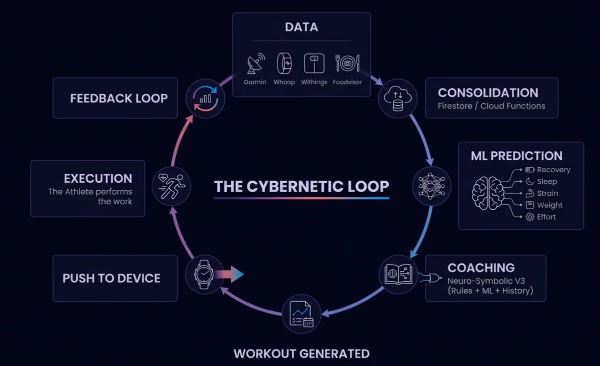 The complete HealthData loop: data sources, consolidation, ML prediction, coaching, workout generation, Garmin push, execution, feedback
